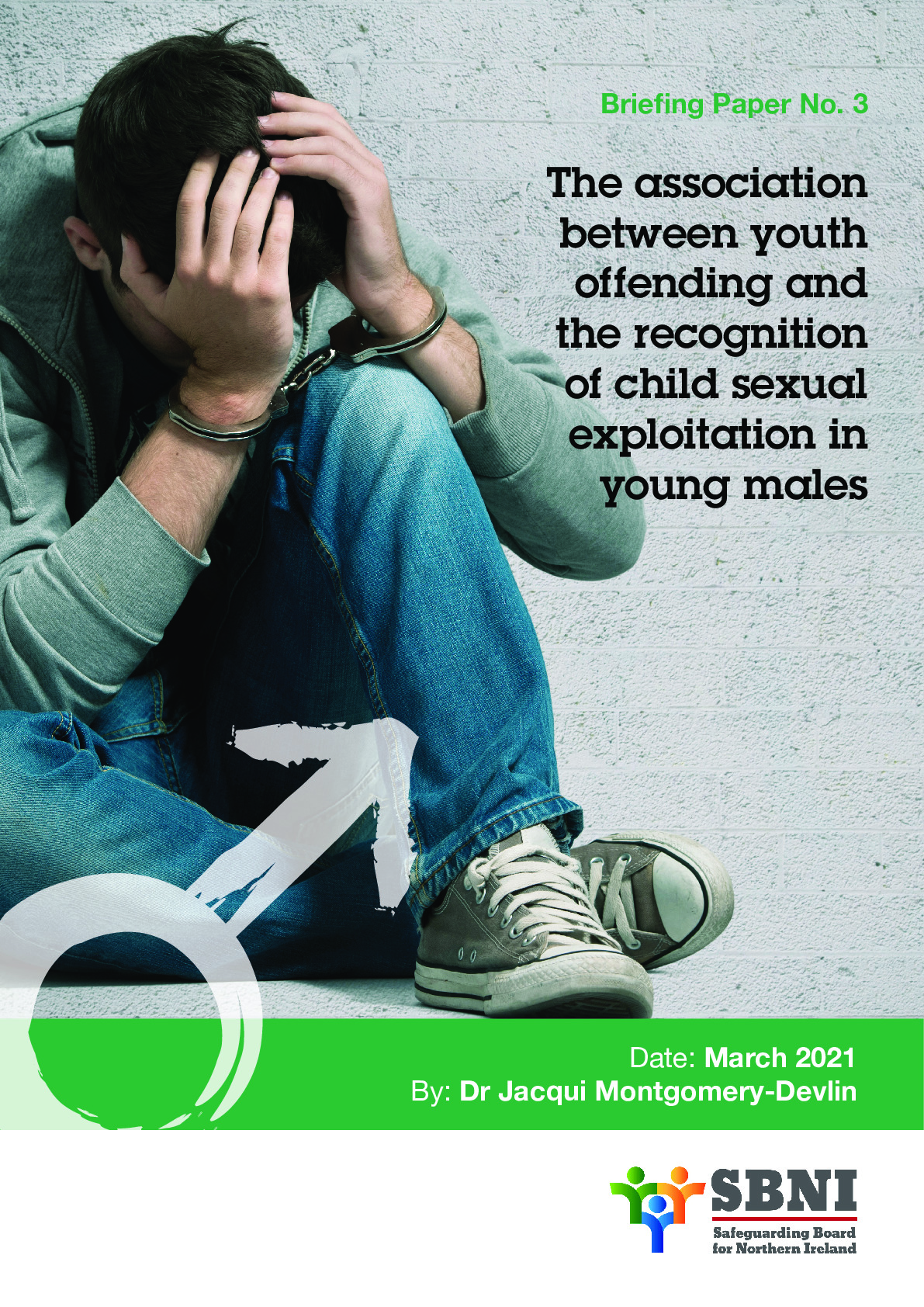 Briefing Paper Number 3 Child Sexual Exploitation