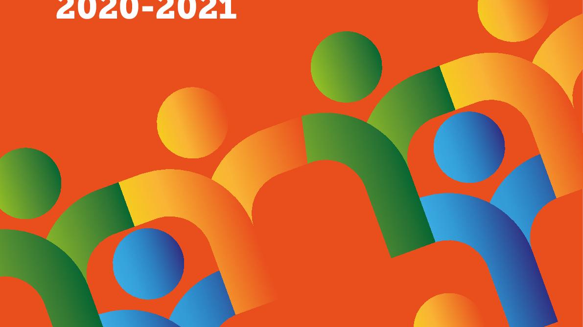 SBNI Annual Report 2020-2021 Final 1.0 221221