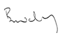 Bernie McNally signature