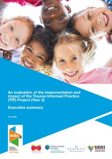 TIP Exec Summary Yr 3 Report (Final) April 2021
