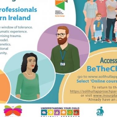 Solihull Introductory Image