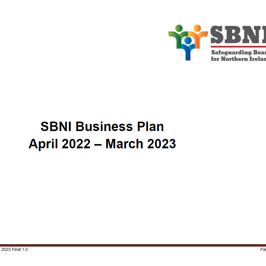 SBNI Business Plan