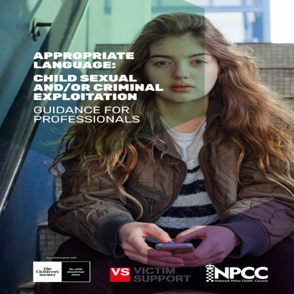 Victim Blaming Language: A guide for professionals